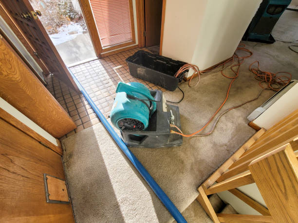 Best Water damage restoration services  in Knik Fairview, AK