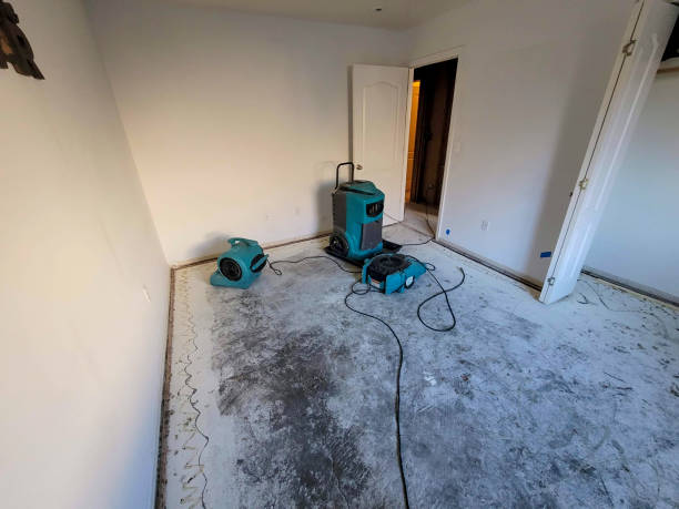 Best Water damage restoration experts  in Knik Fairview, AK