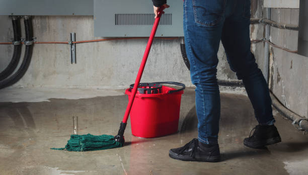Water damage restoration experts in Knik Fairview, AK