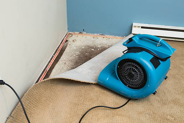 Best Sewage cleanup and water damage restoration  in Knik Fairview, AK